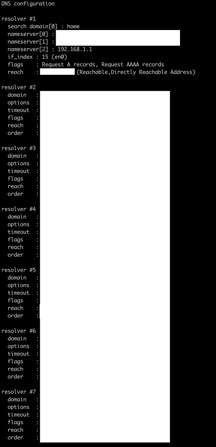 Terminal output of scutil --dns
